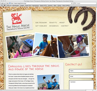 The website for The Magic Horse Therapeutic Horseback Riding Center launched the organization into on-line marketing and fundraising and is responsible for increasing awareness and fundraising for the small non-profit organization.Visit the Website